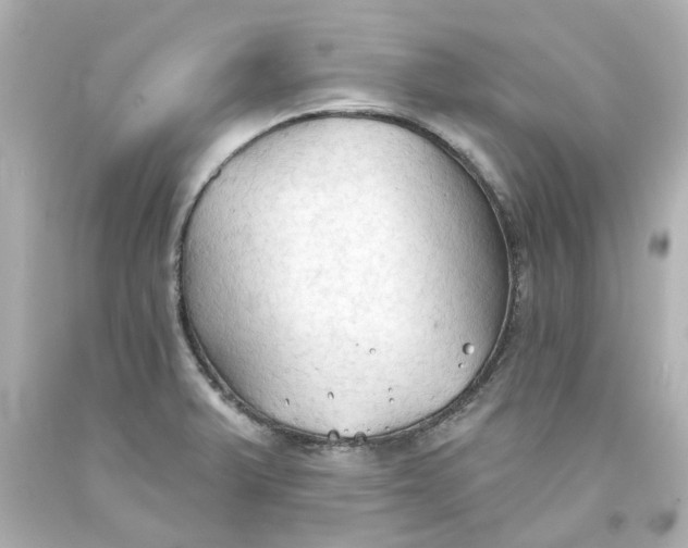 X0000093561375200710291010