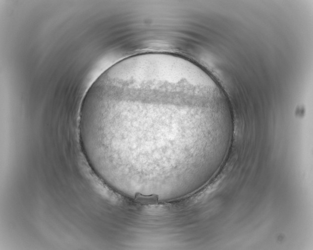 X0000093561378200710291010