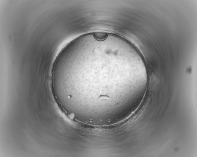 X0000093561379200710291010