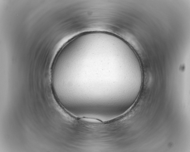 X0000093561380200710291010