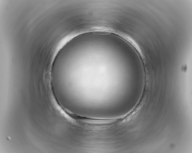 X0000093561381200710291010