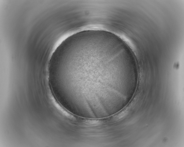 X0000093561382200710291010