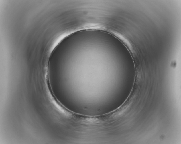 X0000093561383200710291010