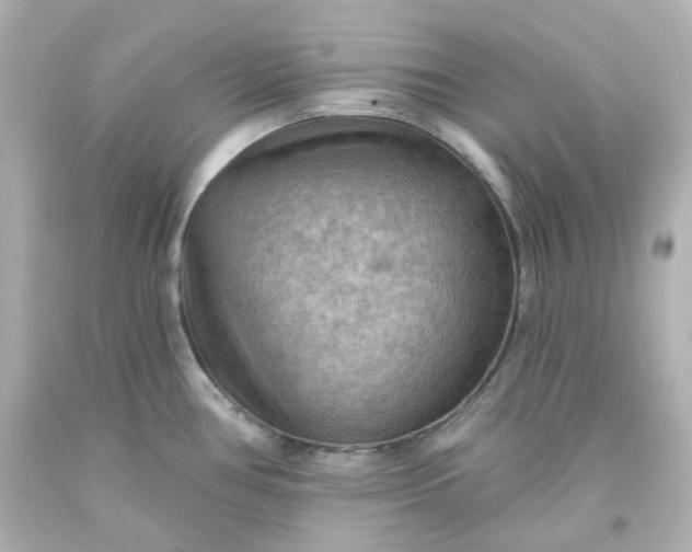 X0000093561386200710291010