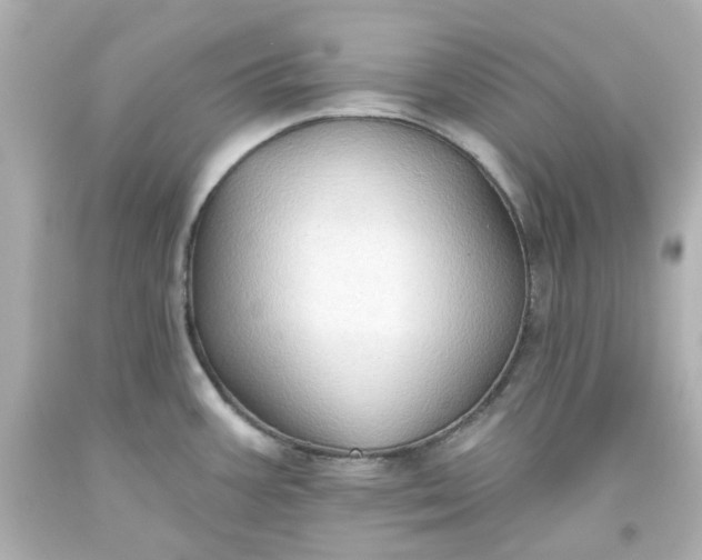 X0000093561387200710291009