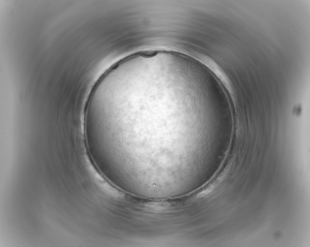 X0000093561388200710291009