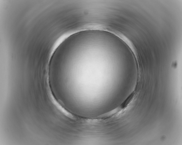 X0000093561389200710291009