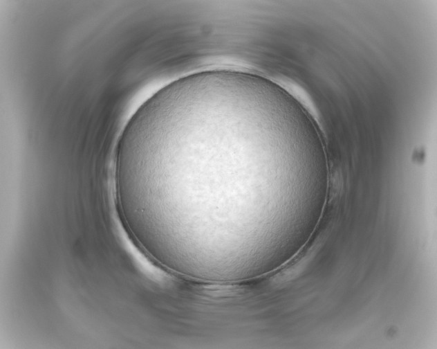 X0000093561391200710291009