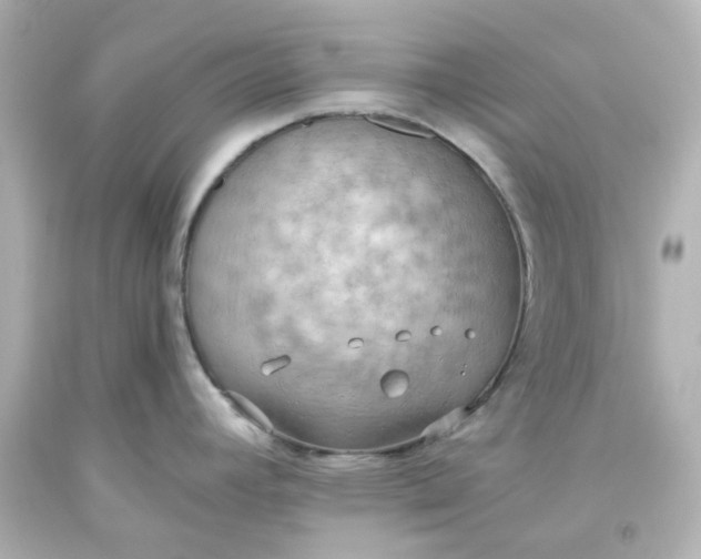 X0000093561392200710291009