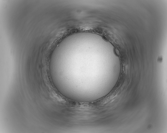 X0000093561393200710291009