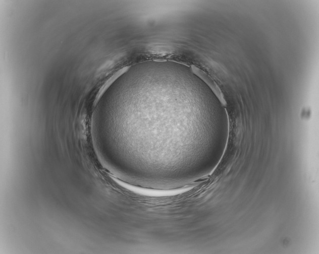 X0000093561394200710291009