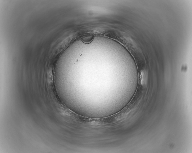 X0000093561395200710291009