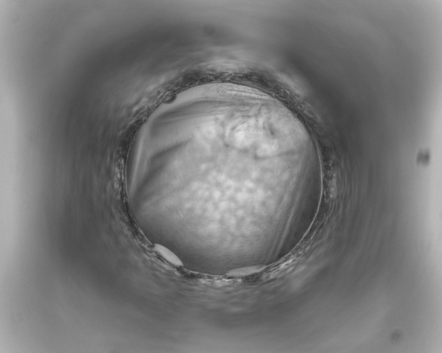 X0000093561397200710291009