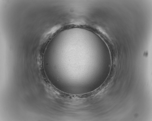 X0000093561398200710291009