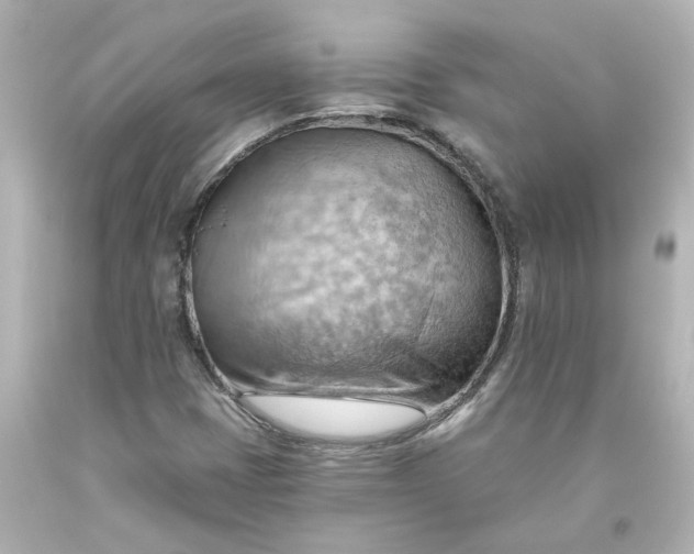 X0000093561401200710291009