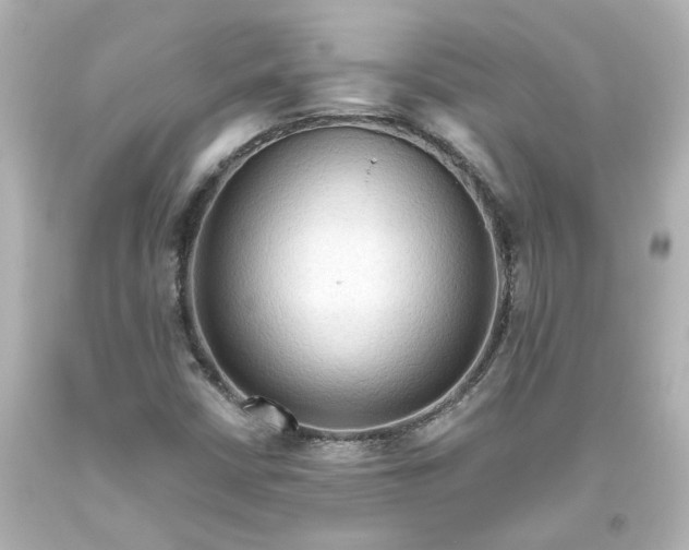 X0000093561402200710291009