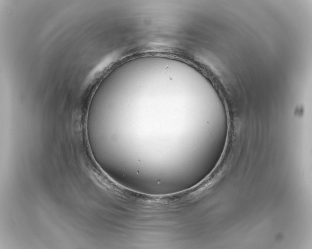 X0000093561403200710291009