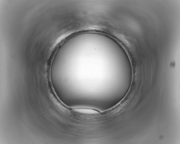 X0000093561404200710291009