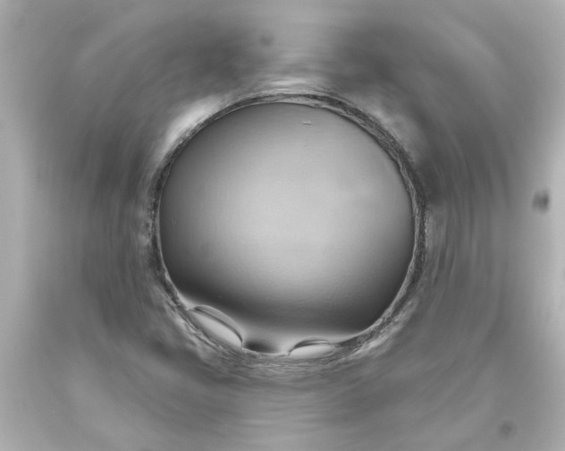 X0000093561405200710291009