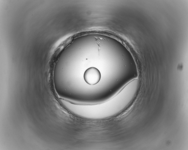 X0000093561406200710291009