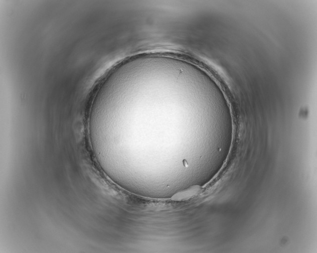 X0000093561407200710291009