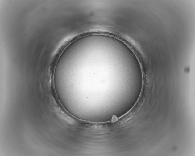 X0000093561408200710291009