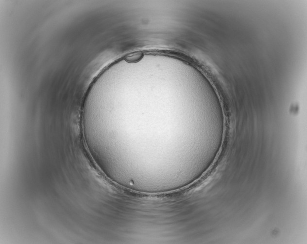 X0000093561409200710291009