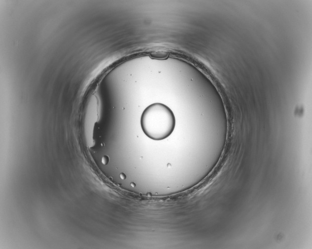 X0000093561410200710291009