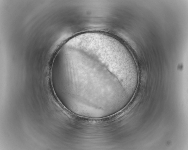 X0000093561411200710291009