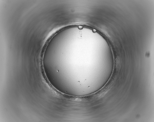 X0000093561412200710291009