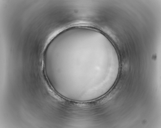 X0000093561413200710291009