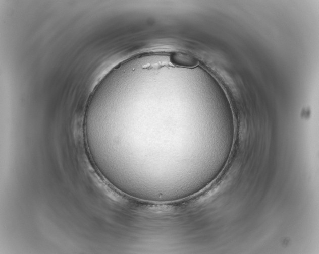 X0000093561417200710291009