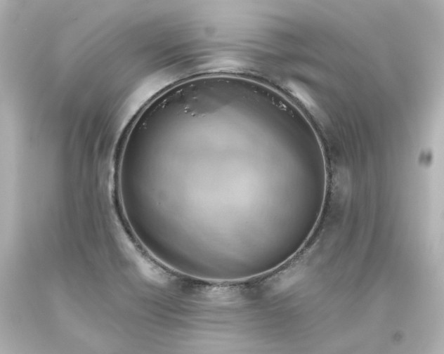 X0000093561418200710291009