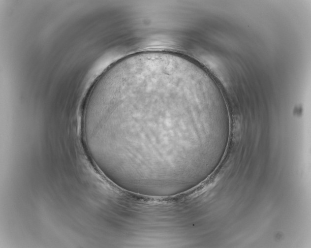 X0000093561419200710291009