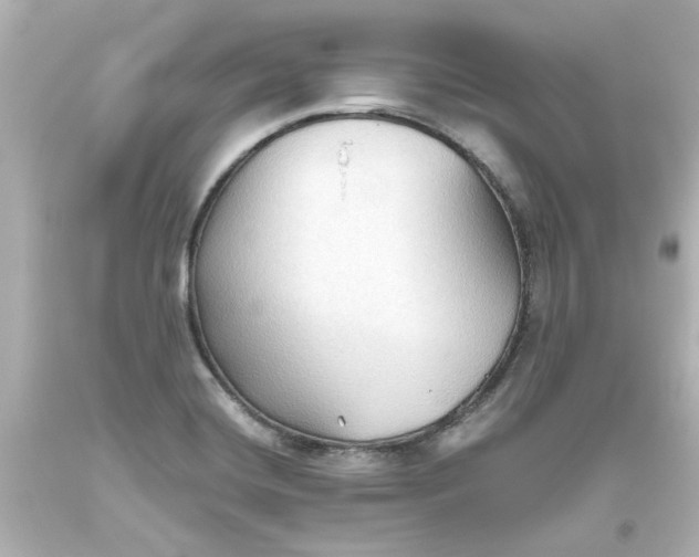 X0000093561420200710291009