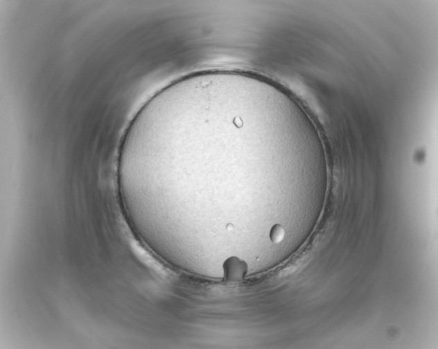 X0000093561421200710291009