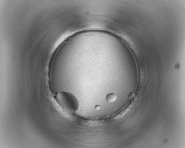 X0000093561422200710291009