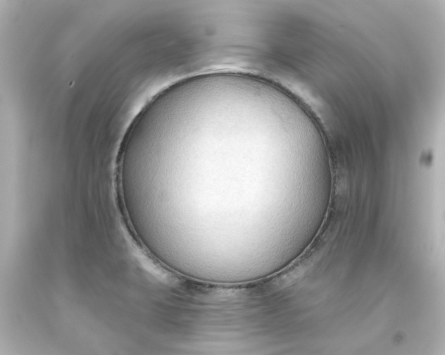 X0000093561423200710291009