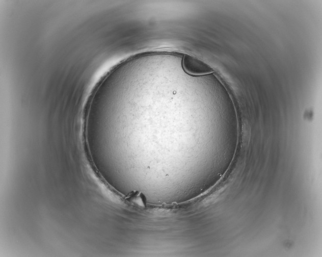 X0000093561424200710291009