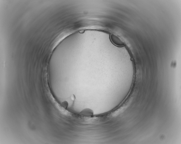 X0000093561425200710291009