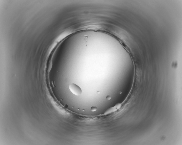 X0000093561426200710291009