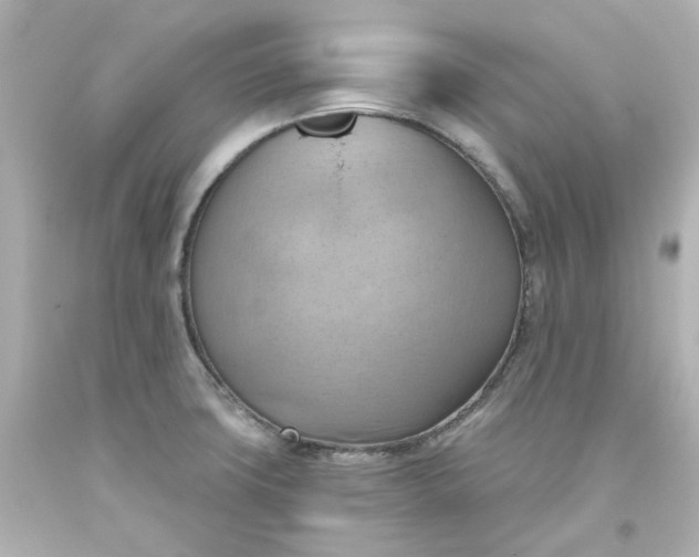 X0000093561427200710291009