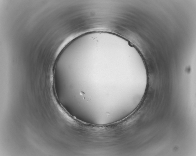 X0000093561428200710291009