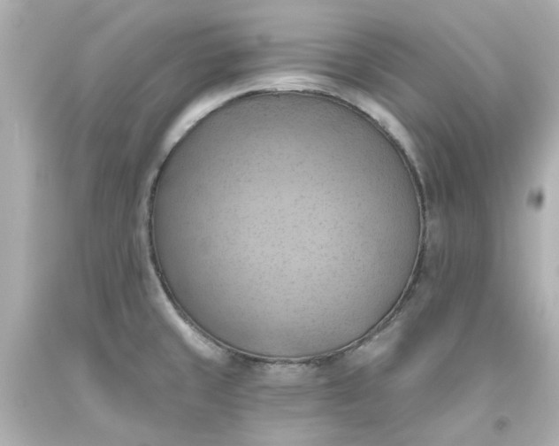 X0000093561429200710291009