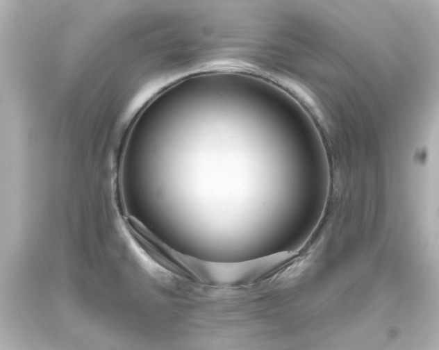 X0000093561430200710291009