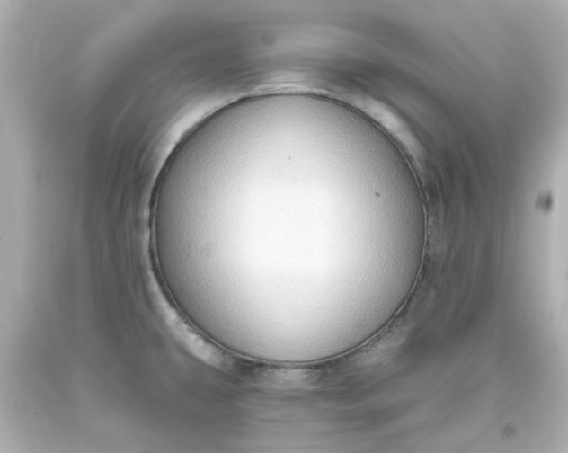 X0000093561431200710291009