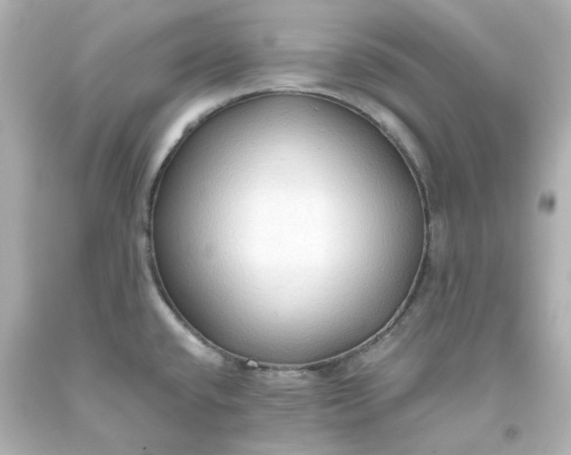 X0000093561432200710291009