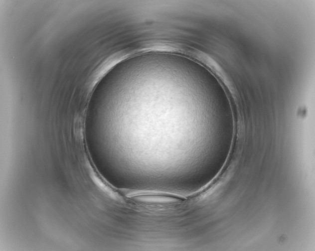 X0000093561433200710291009