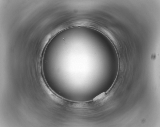 X0000093561434200710291009