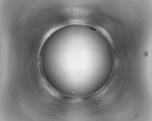 X0000093561435200710291009